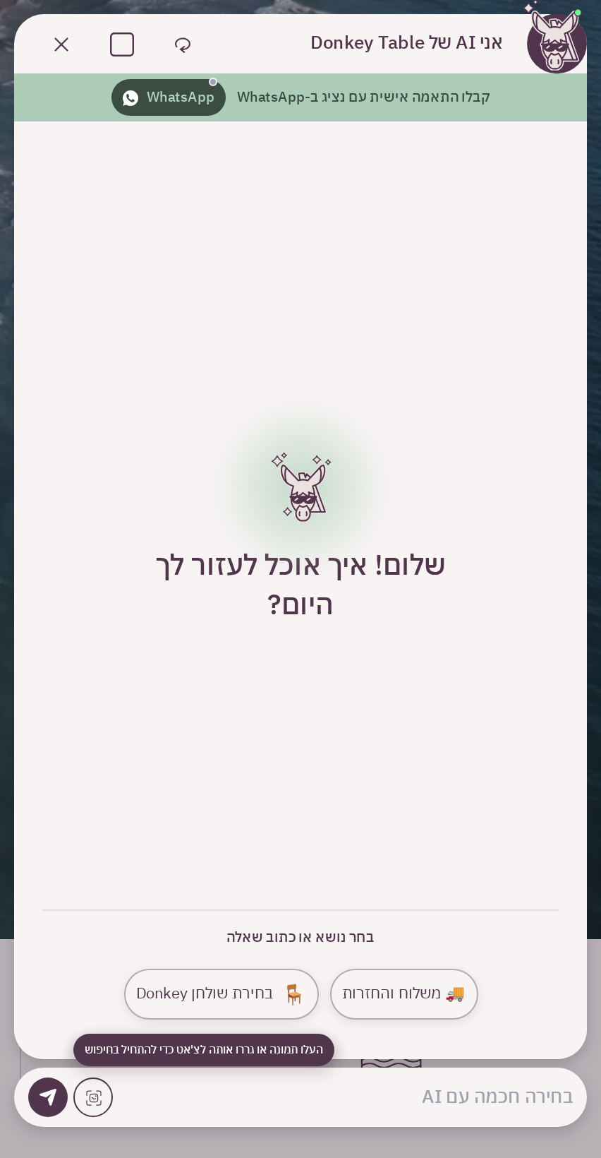 WooAI chat widget open on the storefront